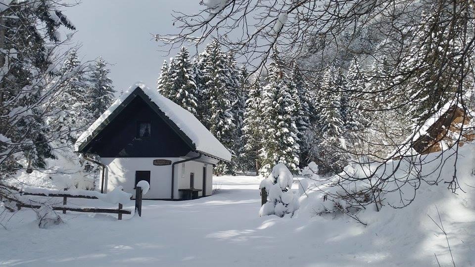 Pocitniska Hisa Ukanc Bohinj Exterior photo